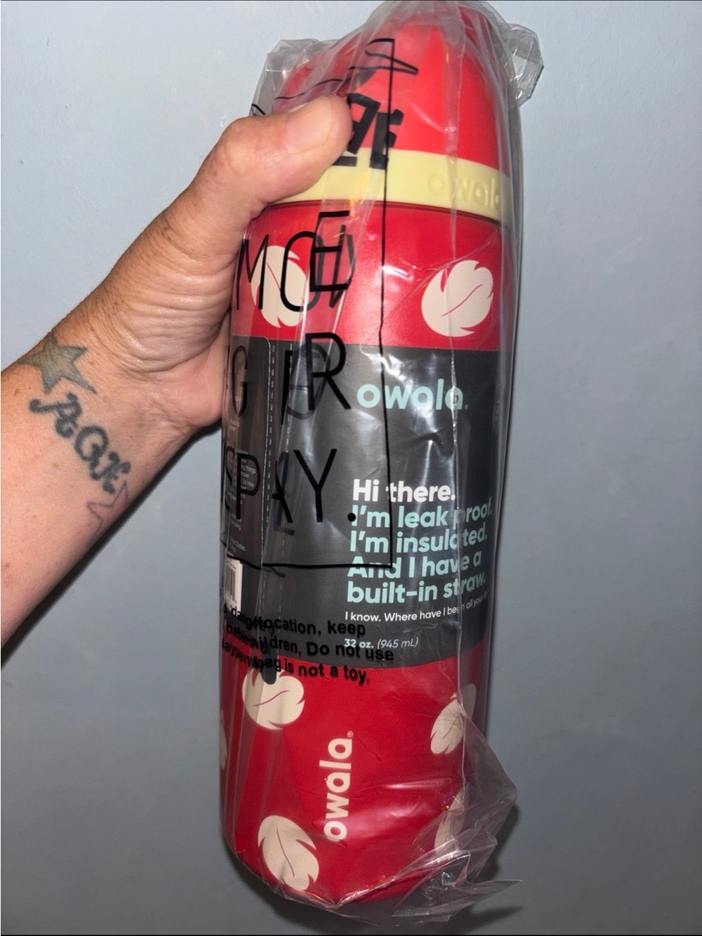 Owalo Red Insulated Bottle with Leakproof Straw Lid